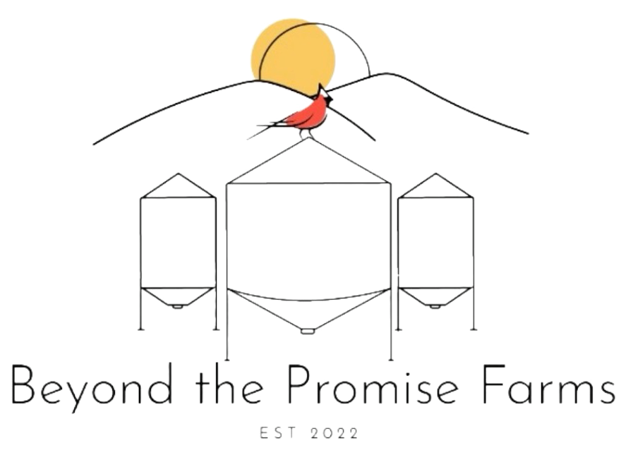 Beyond the Promise Farms